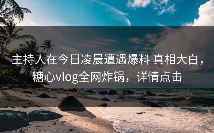 主持人在今日凌晨遭遇爆料 真相大白，糖心vlog全网炸锅，详情点击