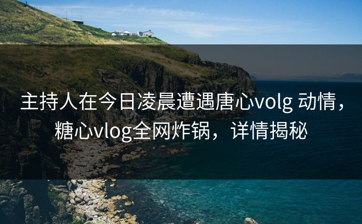 主持人在今日凌晨遭遇唐心volg 动情，糖心vlog全网炸锅，详情揭秘  第1张